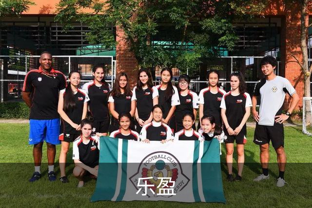 乐盈公司简介